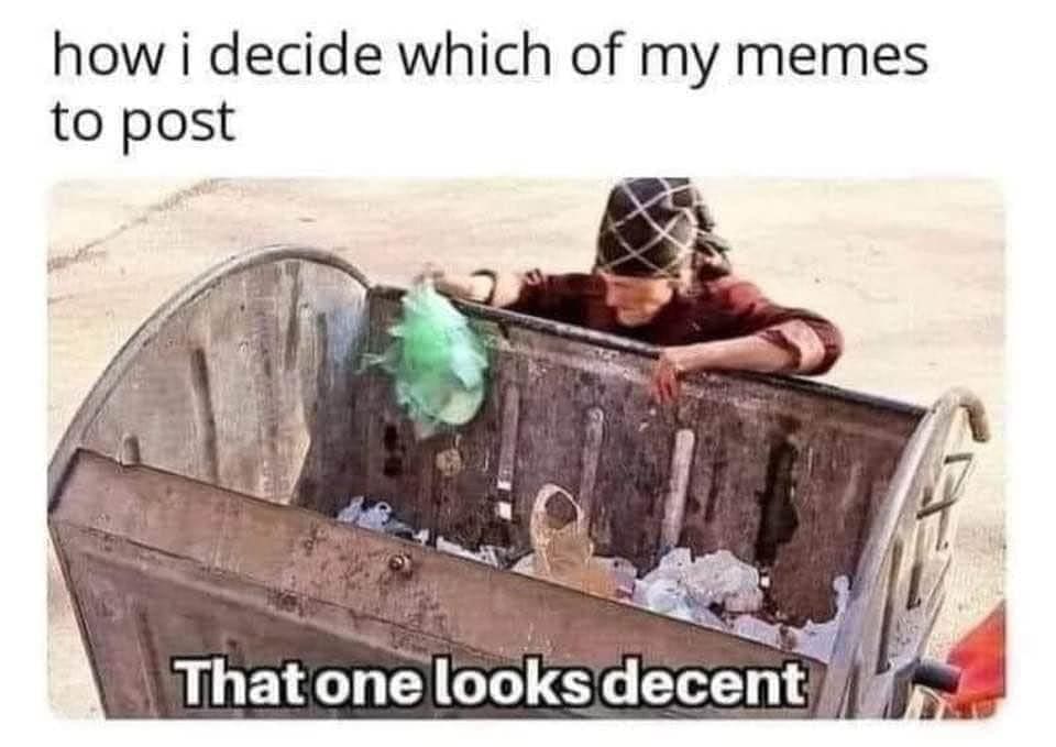 Raccoon scavenging through a dirty dumpster to select a "decent" meme to post online.
