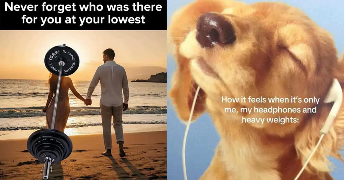 Collection of gym meme images and workout meme compilations featuring protein powder struggles and leg day jokes