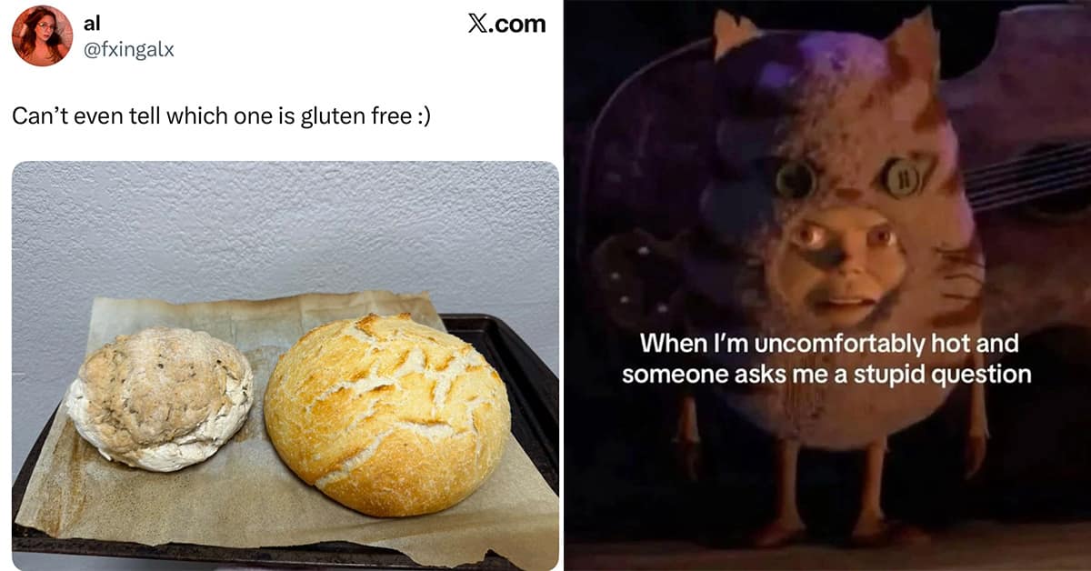 Collection of hilarious meme images and meme dump compilations featuring the Happy Birthday Clam cake and blue cockroaches