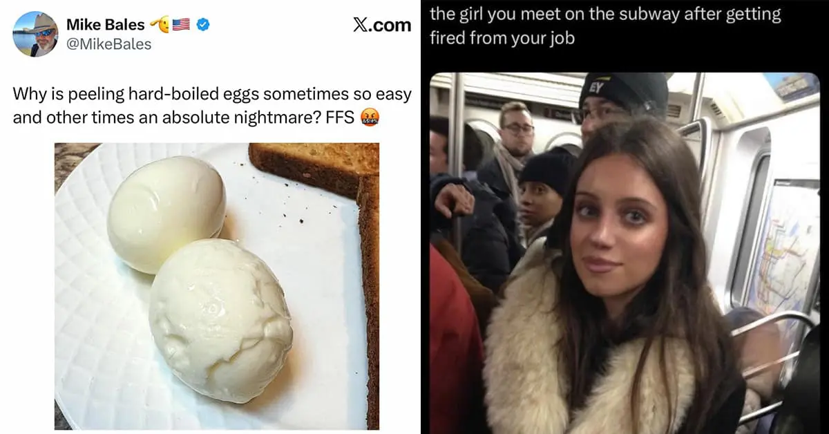 Collection of funny meme images and hilarious memes featuring massive ZYN deliveries and Babybel cheese people