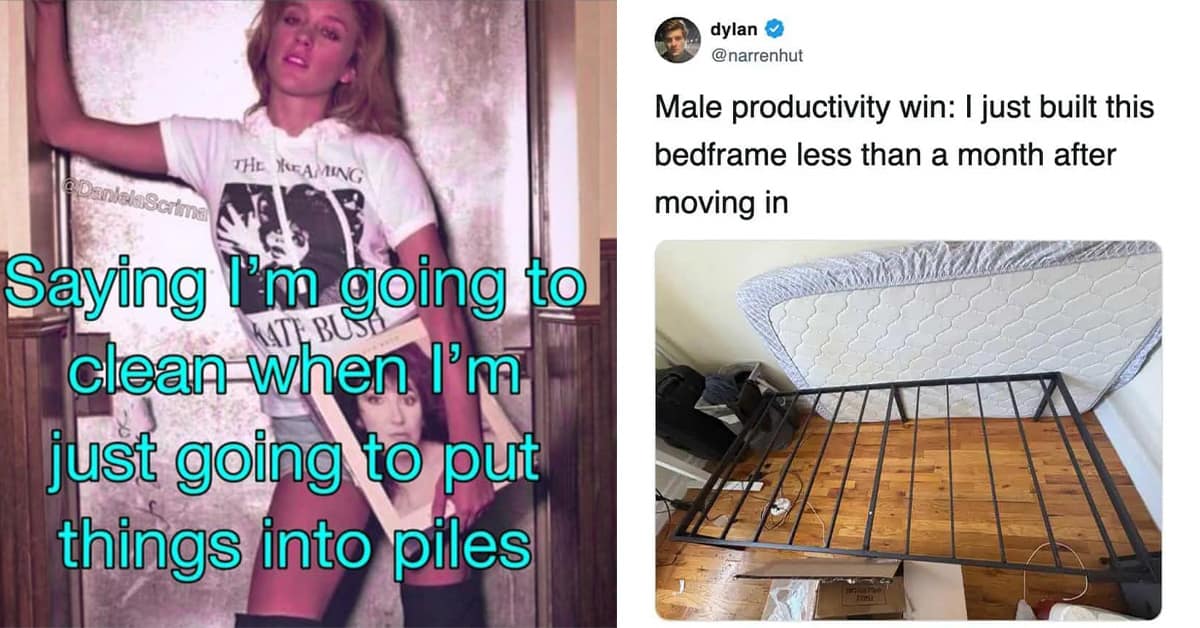 Collection of funny meme favorites and hilarious memes featuring screaming possums and mental health eels.