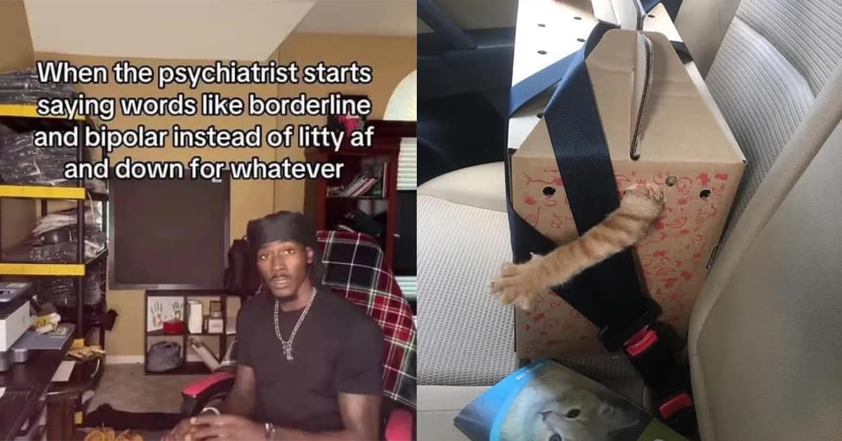 Collection of funny meme highlights from the January 28 meme dump including the DARE program irony, the cat's reach for freedom, and the screen addiction defense.