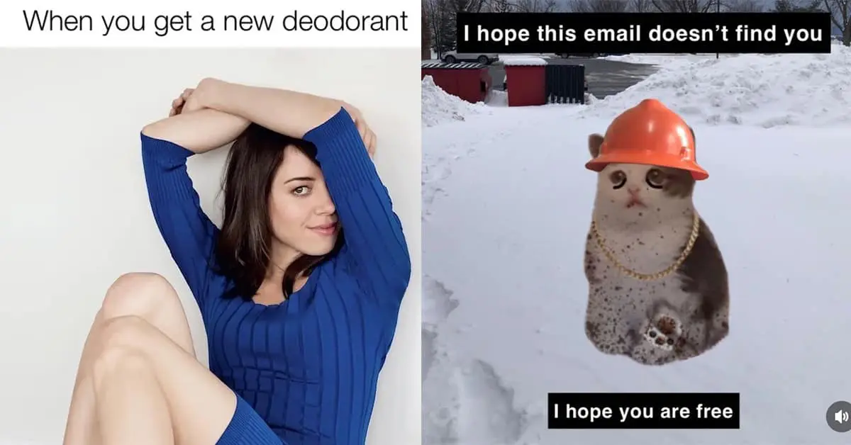 Collection of funny meme highlights from the January 29 meme dump including the LinkedIn dog, the construction cat, and the clubbing fatigue.