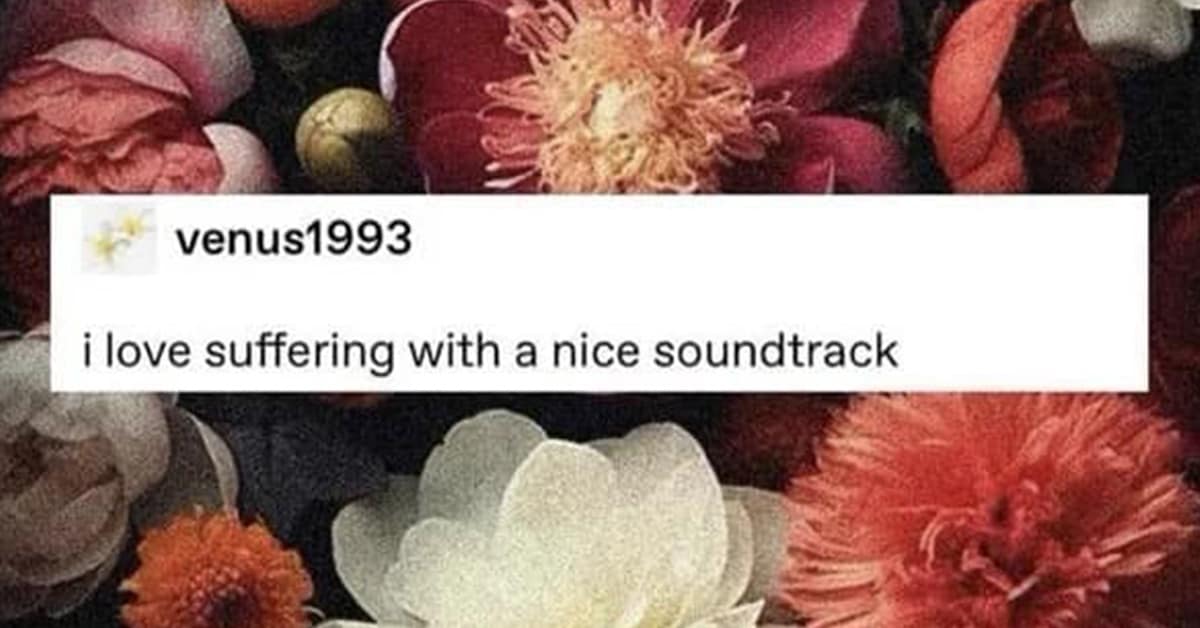 Collection of hilarious meme images and meme dump compilations featuring weird gingerbread cookies and opossums