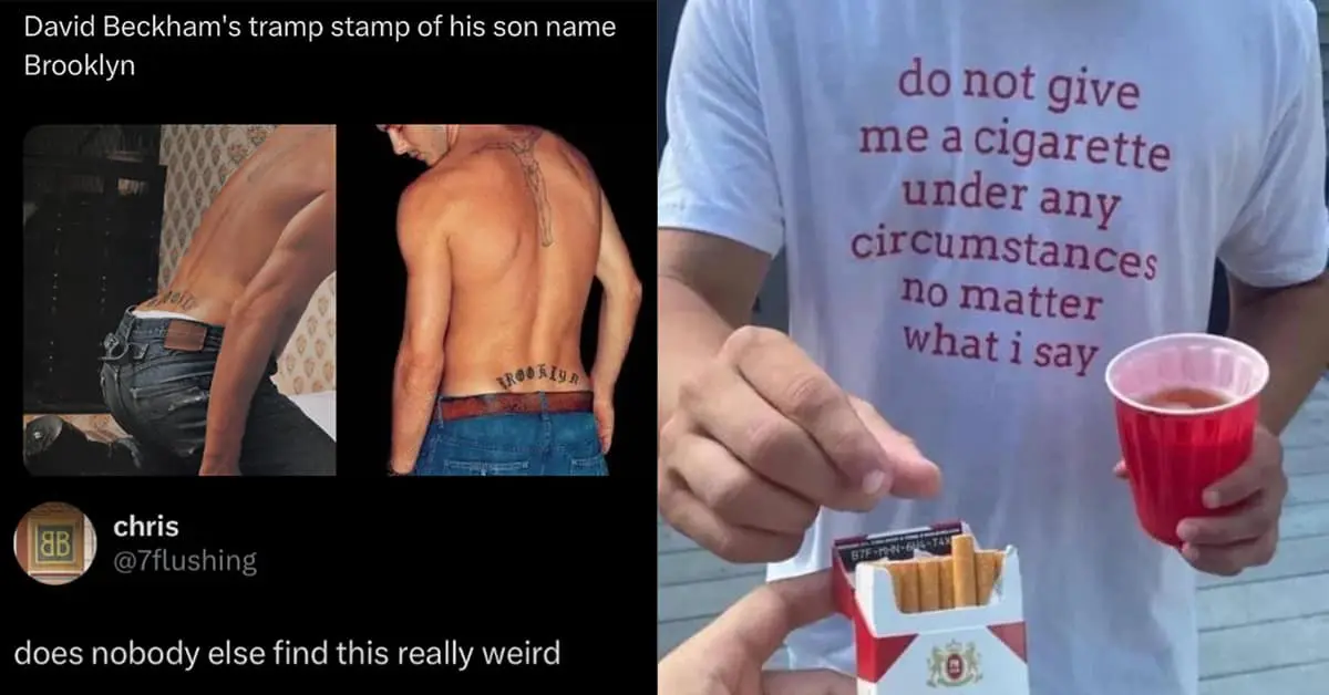 Meme Dump of funny memes and hilarious meme highlights including the French flag dog vomit, the Star Wars hot dog roast, and the sarcastic plane passenger.