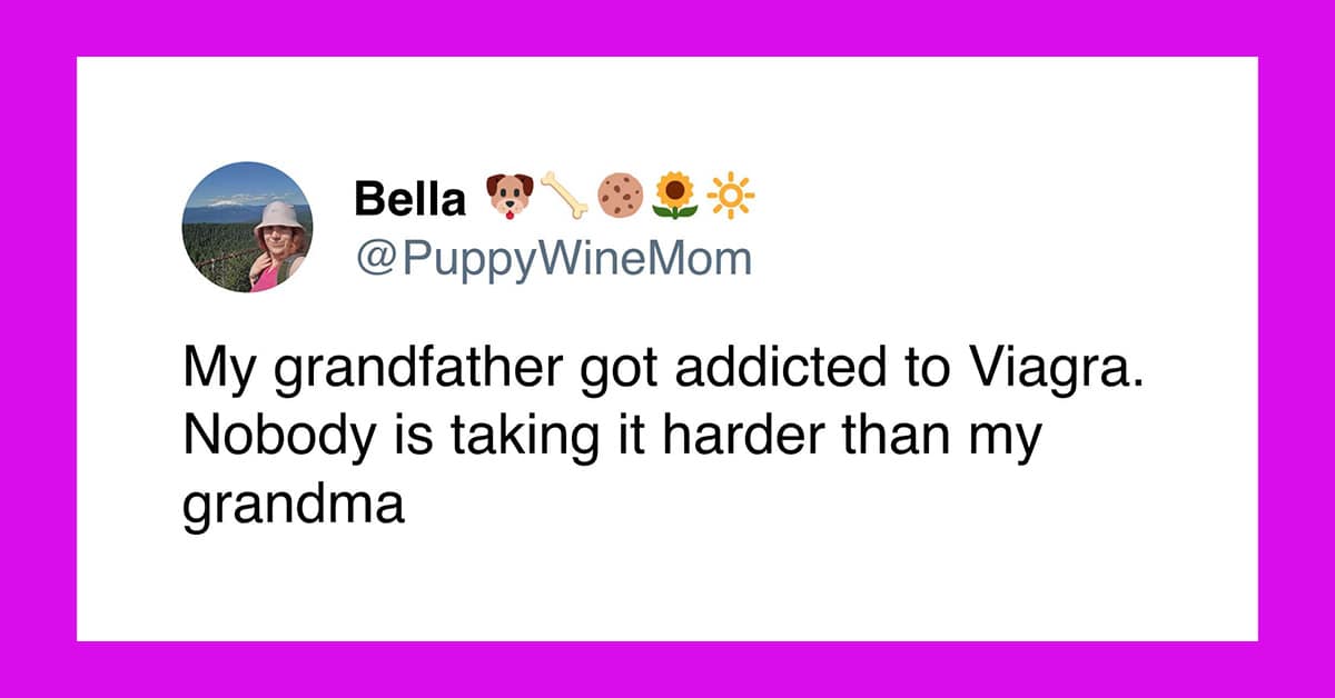 A collection of punny meme highlights and funny pun tweets featuring math jokes, gym proposals, and bouillonaire dreams.