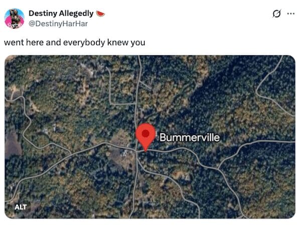 Google Maps pin located on a town named Bummerville with viral tweet caption.