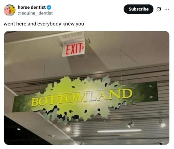Green hanging sign labeled Bottomland with viral tweet about being known there.