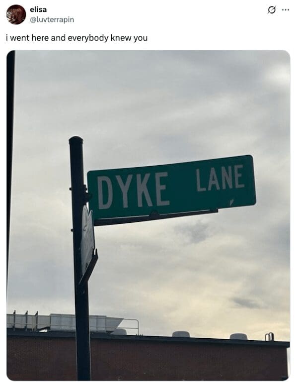 Green street sign for Dyke Lane with a caption about being recognized.