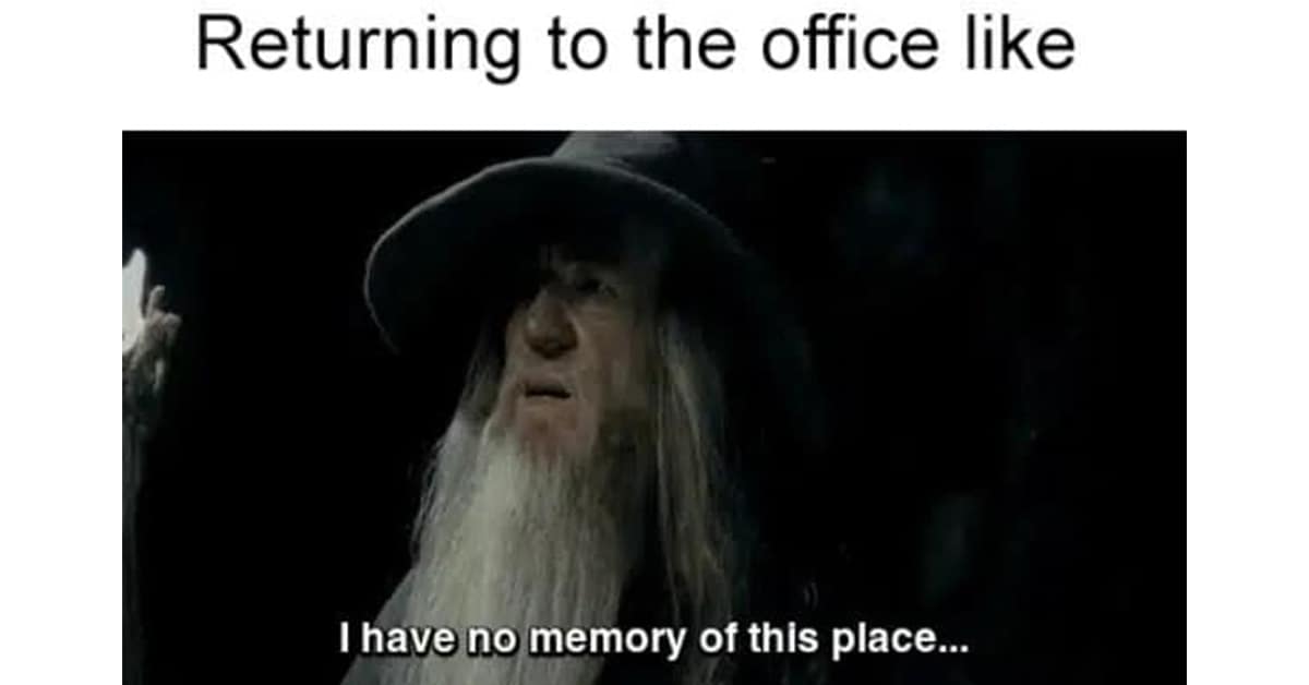 Collection of work meme images and meme about working compilations featuring holiday mode emails and bad bosses