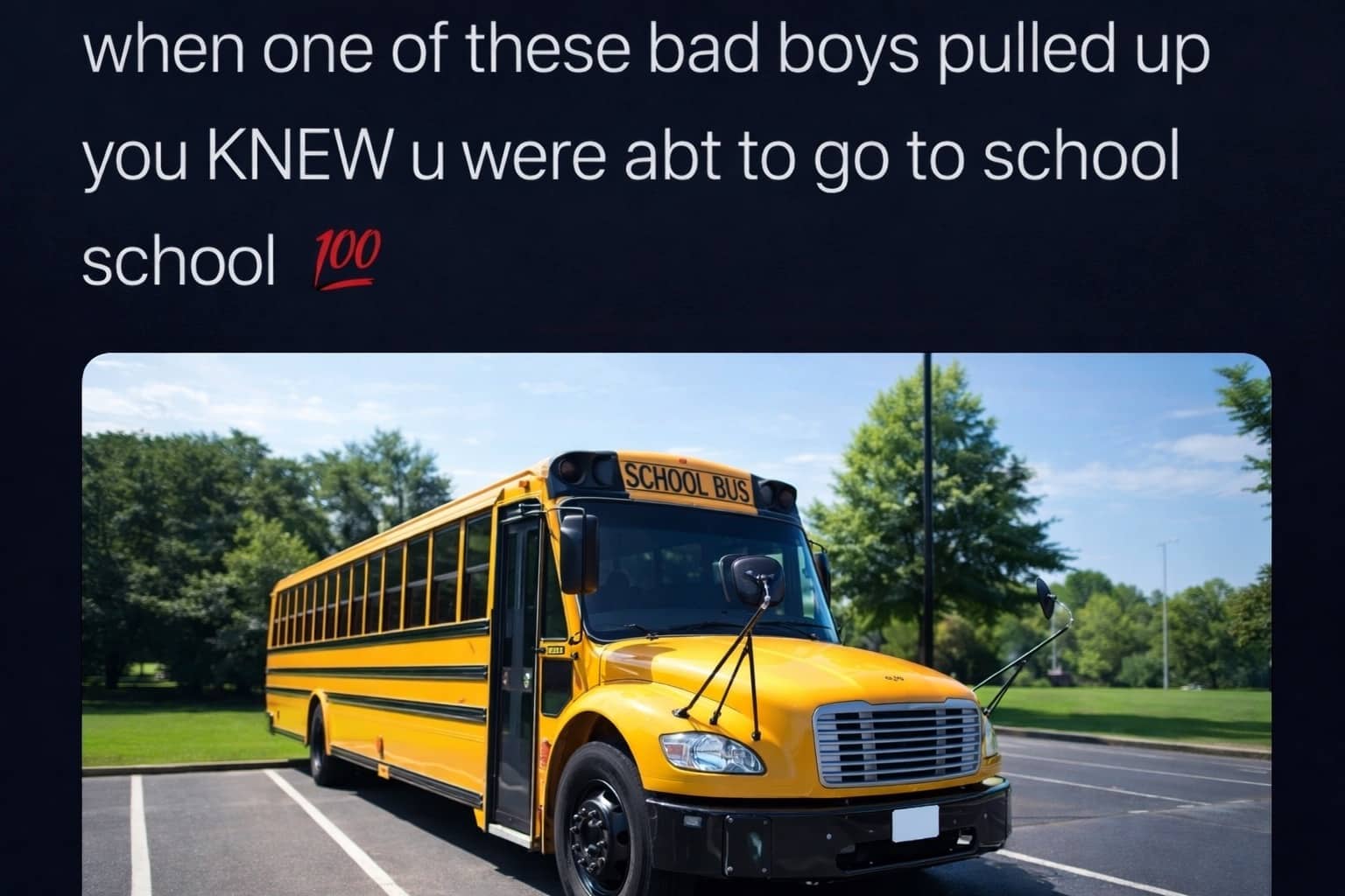 Yellow school bus parked in a lot with text about going to school, anti-meme style.