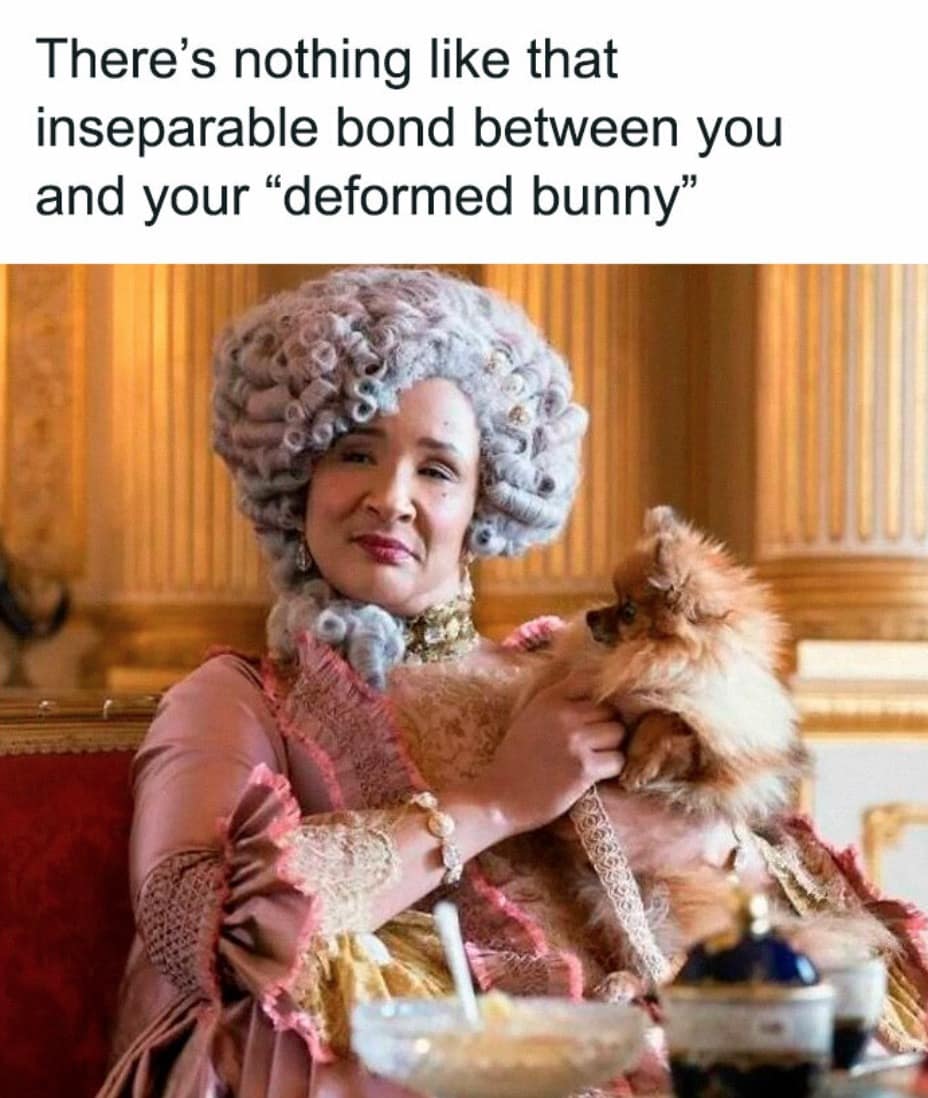 Queen Charlotte holding a tiny fluffy Pomeranian dog. Hilarious Bridgerton memes celebrating the deep, inseparable bond a pet owner shares with their adorable deformed bunny.