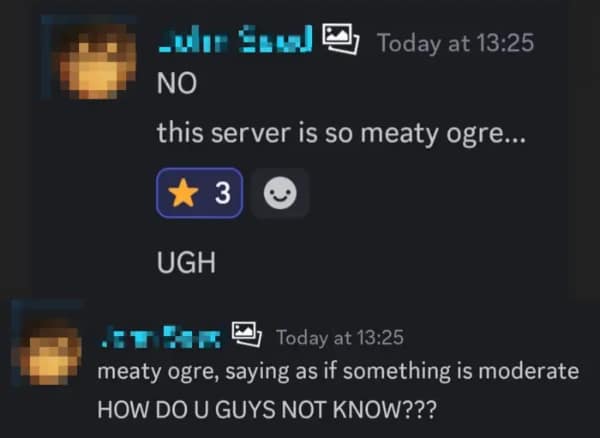 An amazing english fail captured in a Discord chat where an angry user describes the server quality as "meaty ogre" instead of "mediocre," aggressively doubling down on the atrocious spelling when questioned by other gamers.