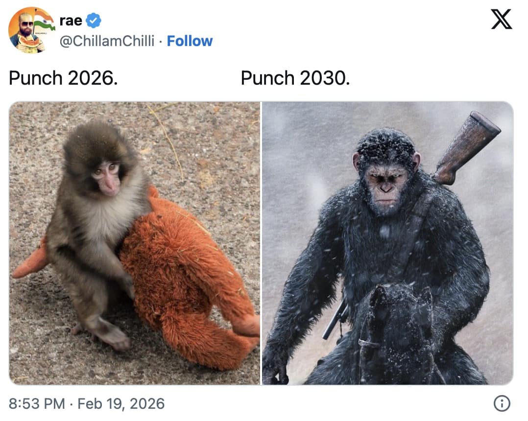 19 Punch The Monkey Memes That Hijacked February