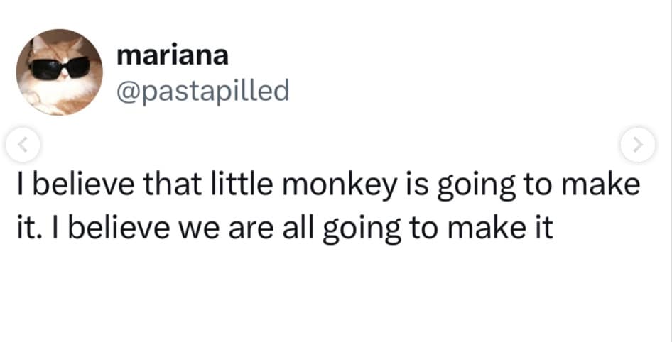A deeply relatable mental health Punch The Monkey meme featuring a tweet that channels sheer hope, stating "I believe that little monkey is going to make it. I believe we are all going to make it".