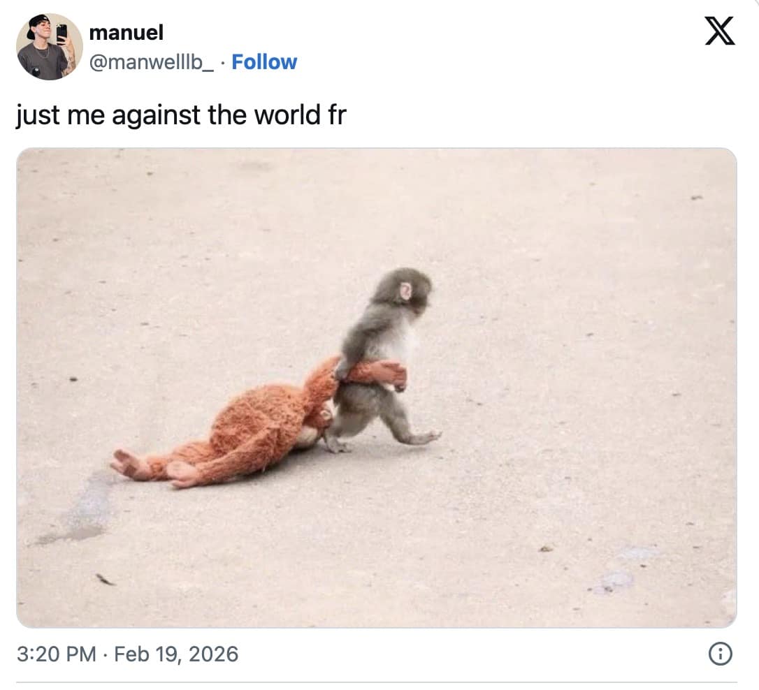 An incredibly determined Punch The Monkey meme showing the tiny baby macaque fiercely dragging his massive orangutan plushie by the arm across the ground, perfectly capturing the resilient "just me against the world fr" energy found in memes about Punch the Monkey.