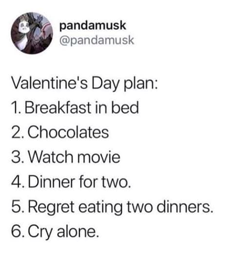 A depressing yet hilarious Valentines Day meme 2026 plan that starts with romantic gestures like "breakfast in bed" but quickly devolves into "regret eating two dinners" and "cry alone."