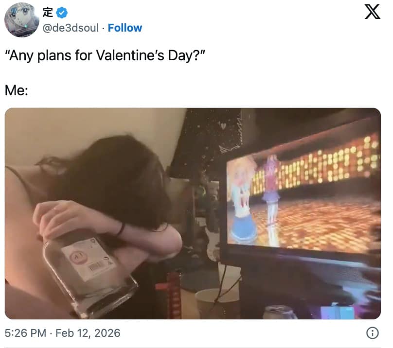 A "rot" culture Valentines Day meme 2026 showing a person slumped over a bottle of alcohol while watching anime as their only holiday plan.