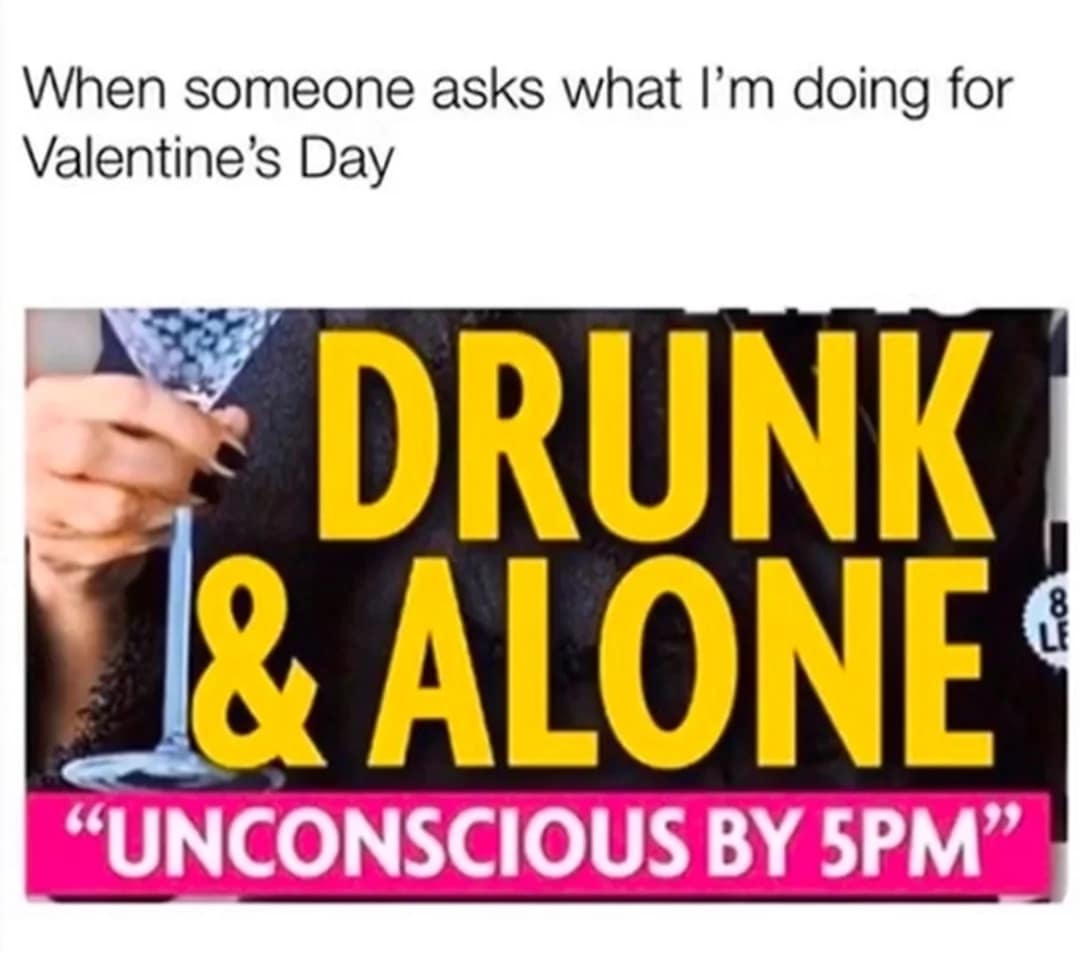 A self-deprecating Valentines Day meme 2026 answering the question of holiday plans with a book cover titled "Drunk & Alone," featuring the subtitle "Unconscious by 5 PM."