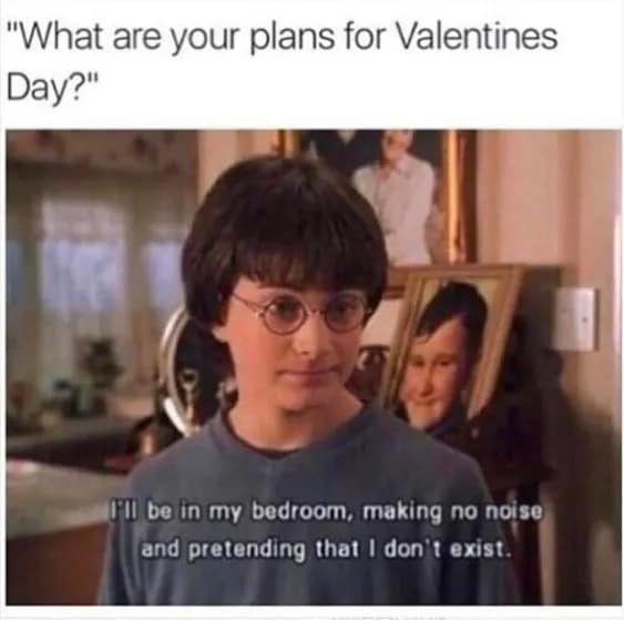 A relatable Valentines meme using young Harry Potter from Chamber of Secrets to describe single life plans: "I'll be in my bedroom, making no noise and pretending that I don't exist."
