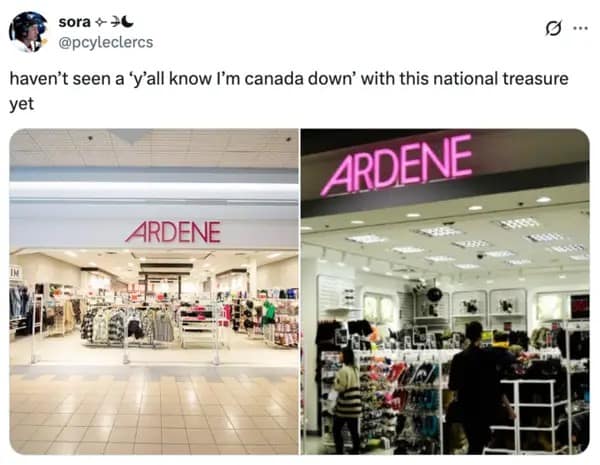 A Yall know I'm Canada Down meme highlighting the fashion retailer Ardene as a national treasure.
