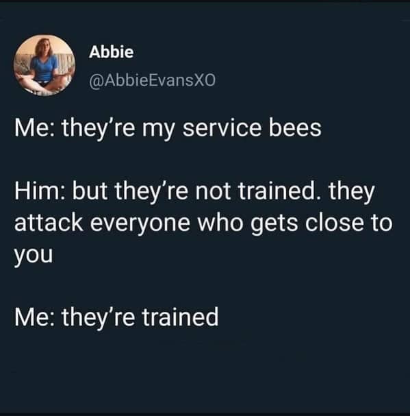 Humorous dialogue about "service bees" that attack everyone who tries to get too close.