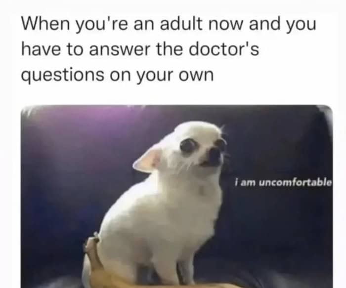 A deeply relatable entry in anxiety memes showing a bug-eyed, terrified chihuahua captioned "i am uncomfortable" to represent the sheer panic of being an adult and having to answer a doctor's questions all by yourself.
