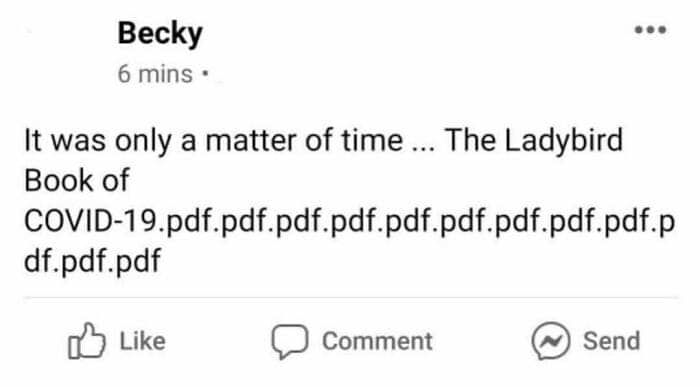 A Facebook post by Becky mentioning the Ladybird Book of COVID-19 with numerous PDF extensions.