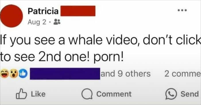 Facebook post by Patricia warning others not to click on a second whale video because it's porn.