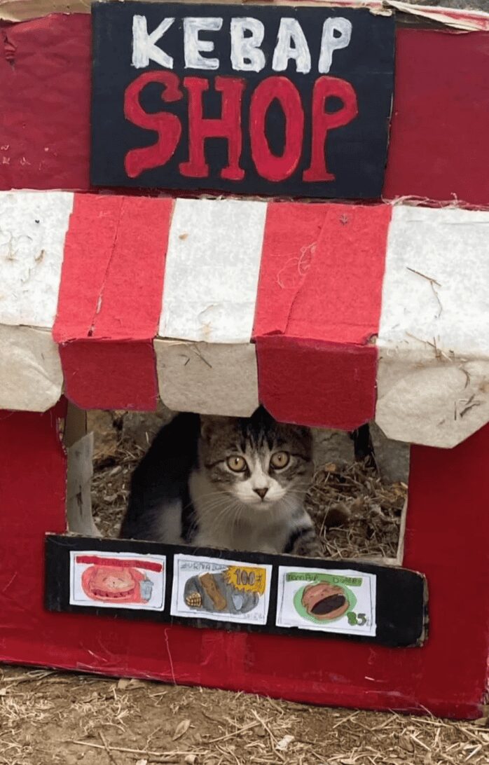 Tabby cat sitting inside a red cardboard kebab shop stand with illustrated menu items.