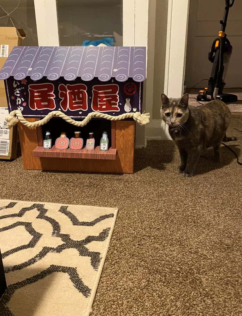 Grey cat standing next to a cardboard izakaya stand featuring miniature sake bottle cutouts.