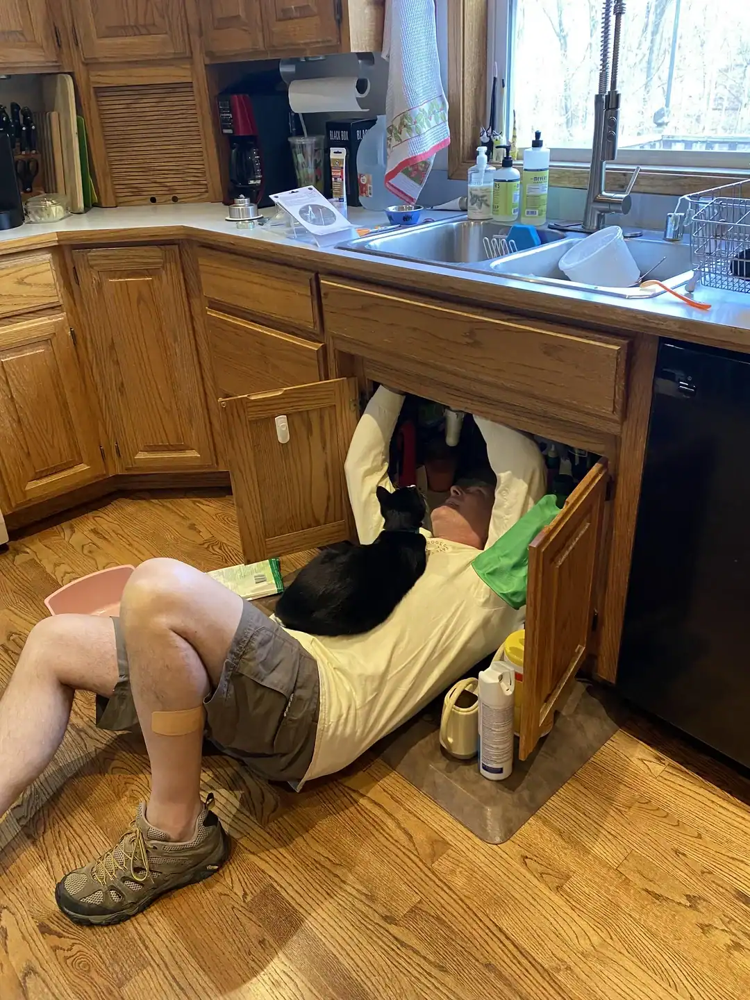 Black cat sitting on a man's chest as he works on plumbing under a kitchen sink.