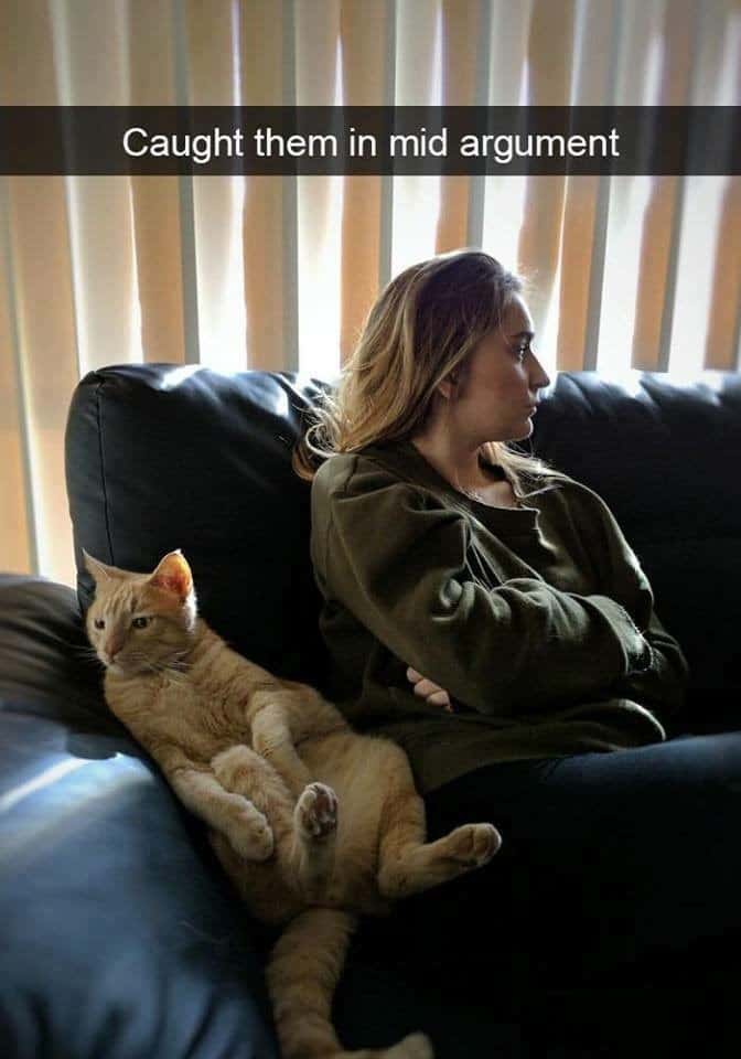 A perfectly timed masterpiece of funny cat snaps showing a woman and her orange cat sitting side-by-side on a leather couch, both stubbornly looking in opposite directions like they were "Caught them in mid argument".