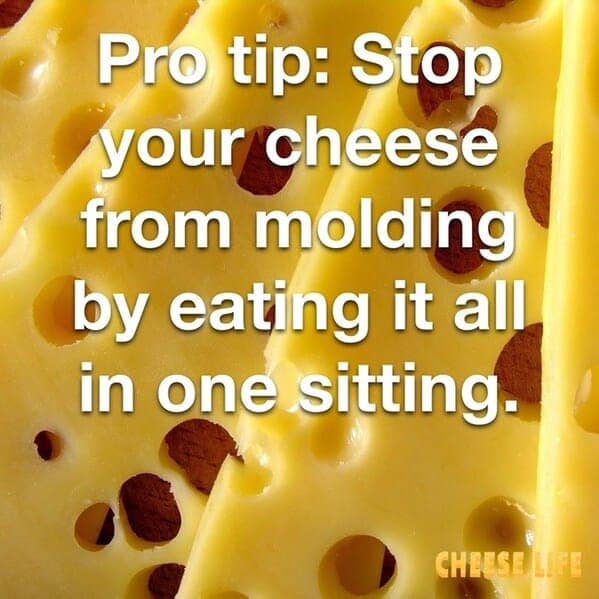 A helpful cheese meme pro tip suggesting you stop cheese from molding by eating it all in one sitting.