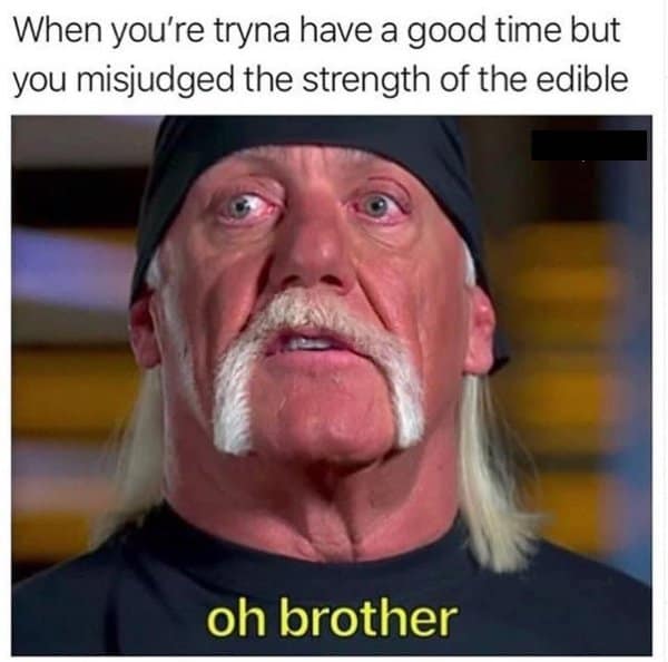 A highly relatable old meme featuring a stressed-looking Hulk Hogan saying "oh brother," perfectly capturing the sheer panic of trying to have a good time but completely misjudging the strength of an edible.