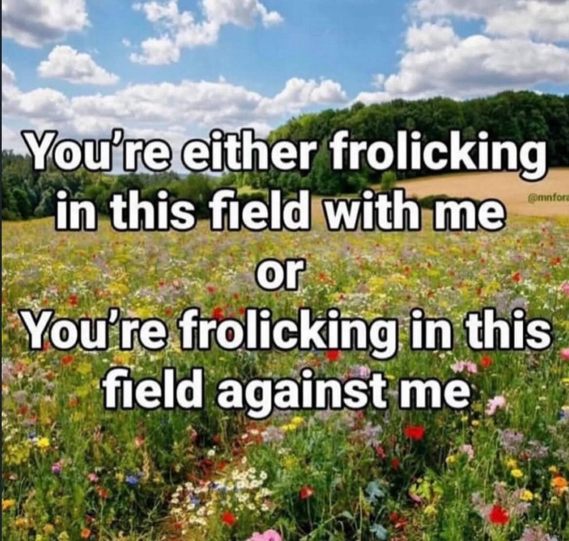A beautifully aggressive old meme showing a serene, sunny field full of wildflowers, overlaid with the hilariously threatening text, "You're either frolicking in this field with me or You're frolicking in this field against me".
