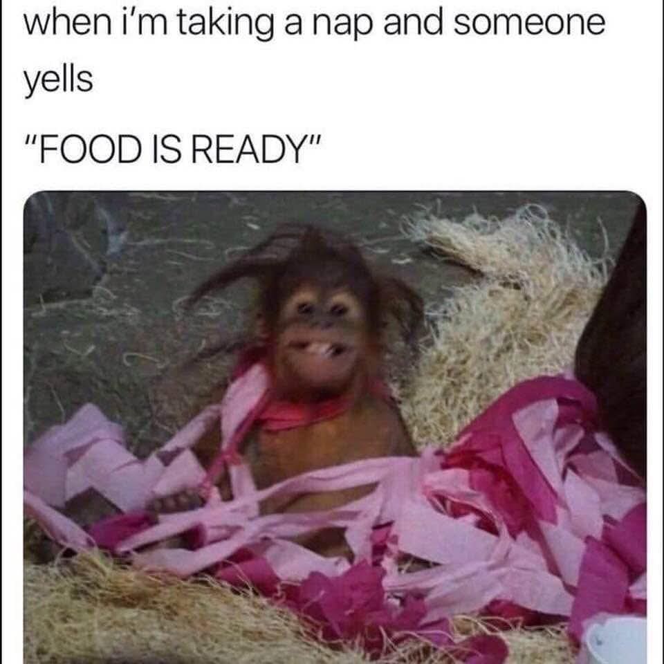 A fantastic bedhead old meme featuring a completely disheveled and crazy-looking baby orangutan waking up in a mess of pink paper, perfectly capturing the primal panic of "when i'm taking a nap and someone yells 'FOOD IS READY'".