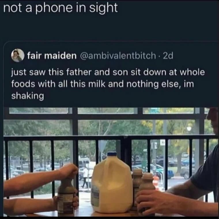 An unhinged vintage meme tweet capturing a father and son sitting at a Whole Foods table with absolutely no food, just an entire gallon of milk and two chocolate milks.