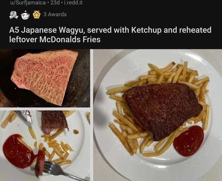 An old meme from Reddit showing a high-quality A5 Japanese Wagyu steak served disrespectfully with ketchup and old McDonald's fries.