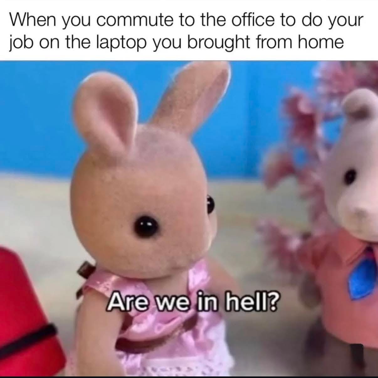 A deeply existential corporate old meme showing a sad little toy rabbit asking "Are we in hell?" to perfectly capture the absolute absurdity of commuting all the way to an office just to work on the exact same laptop you brought from home.
