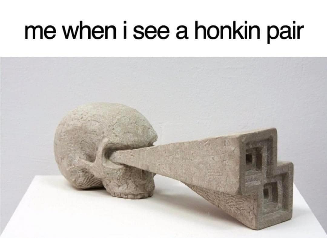 A reaction image and classic meme featuring a skull sculpture with eyes popping out like a cartoon character, captioned me when i see a honkin pair.