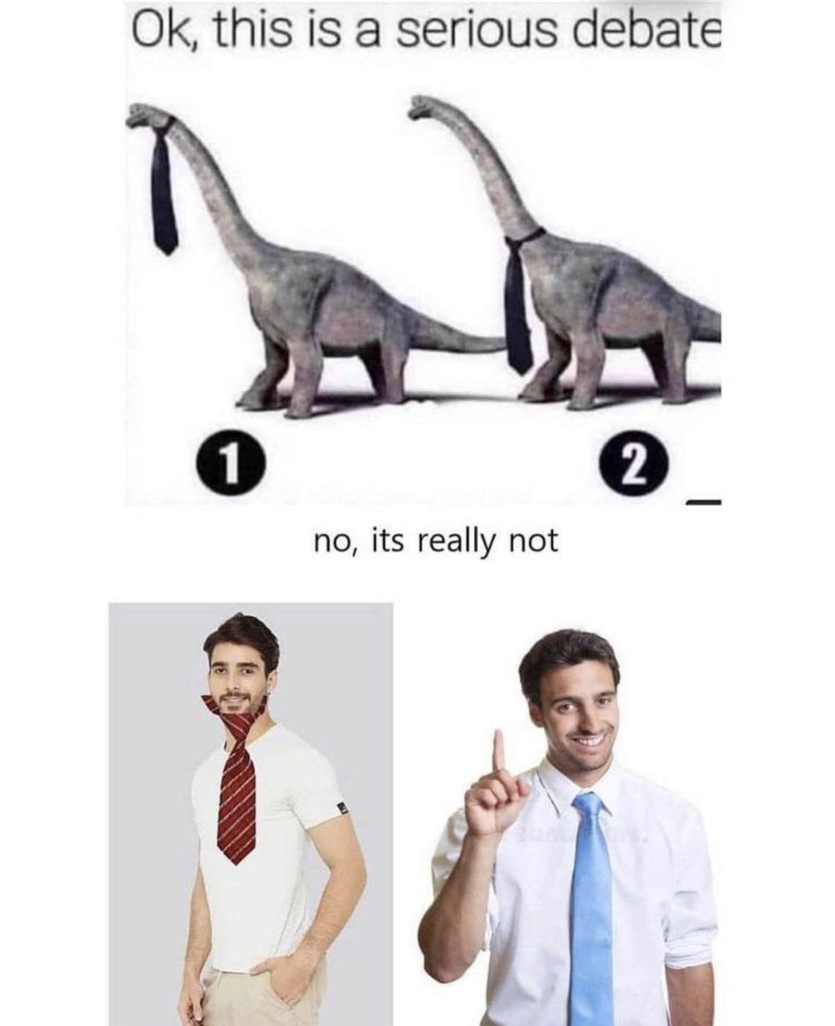 A hilarious anatomical classic meme settling the debate on how a long-necked dinosaur would wear a necktie, using photos of a human wearing a tie wrapped around his chin versus his collar to definitively prove it belongs at the base of the neck.