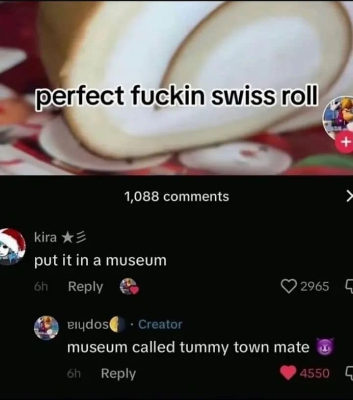 A funny old meme comment thread where a user suggests putting a "perfect swiss roll" in a museum, only for the creator to reply it belongs in a "museum called tummy town."
