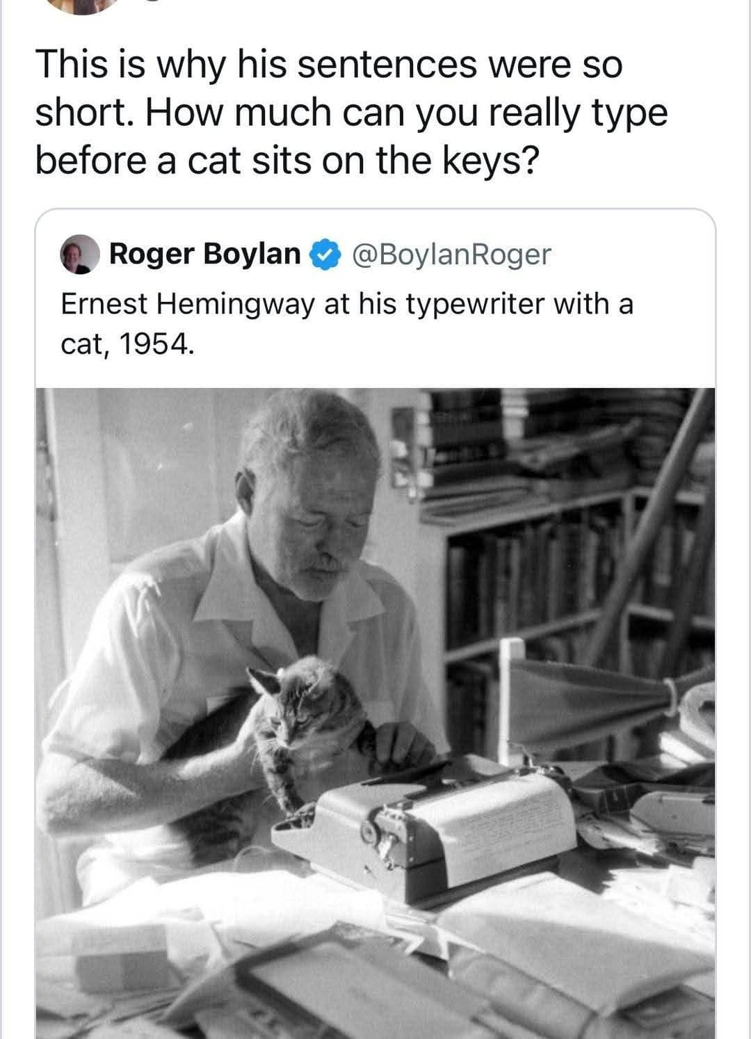 Ernest Hemingway typing with a cat sitting on his desk. Joke explaining his short sentences were caused by feline interruptions.