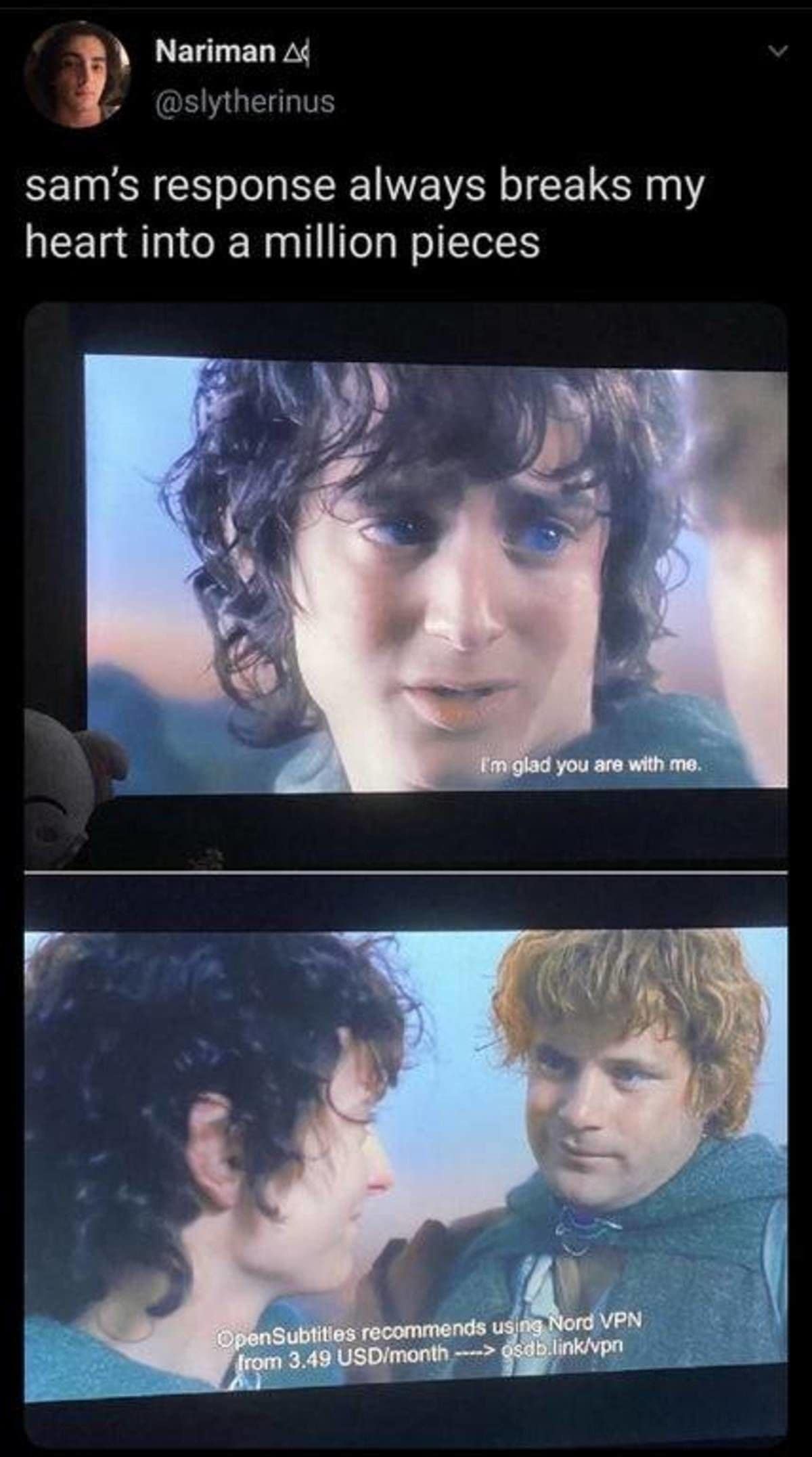 A classic meme showing a ruined emotional moment in Lord of the Rings where Sam's heartfelt dialogue is replaced by a pirated subtitle ad for Nord VPN.