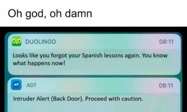 A classic meme about the evil Duolingo owl, showing a phone screen where a threatening language app notification is immediately followed by a home security "Intruder Alert."
