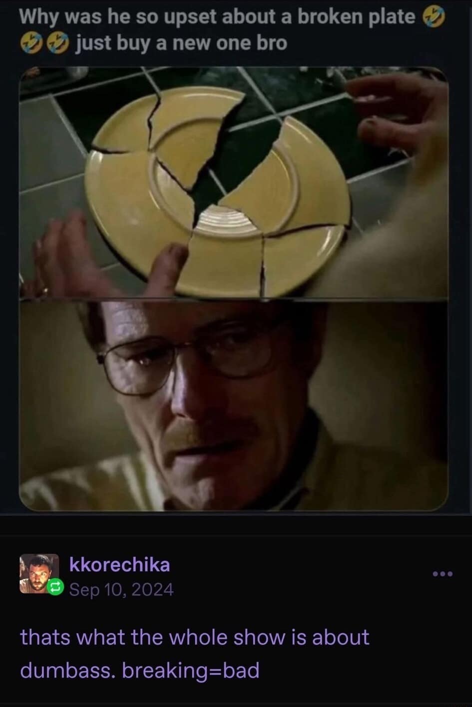 Walter White crying over a broken plate. Sarcastic joke claiming the plot of Breaking Bad is literally about bad dishes.