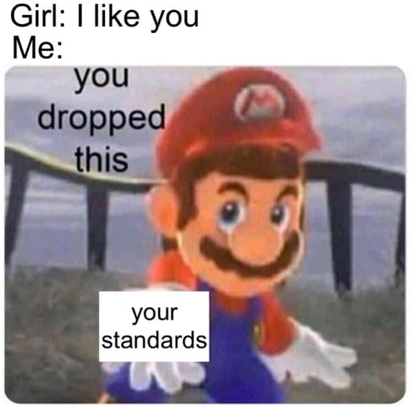 A self-deprecating old meme where Mario hands an invisible object to the viewer, telling a girl she dropped her "standards" for liking him.