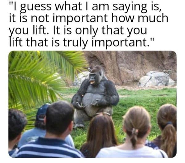 A wholesome classic meme where a gorilla addresses a crowd of humans, imparting gym wisdom that "it is only that you lift that is truly important."