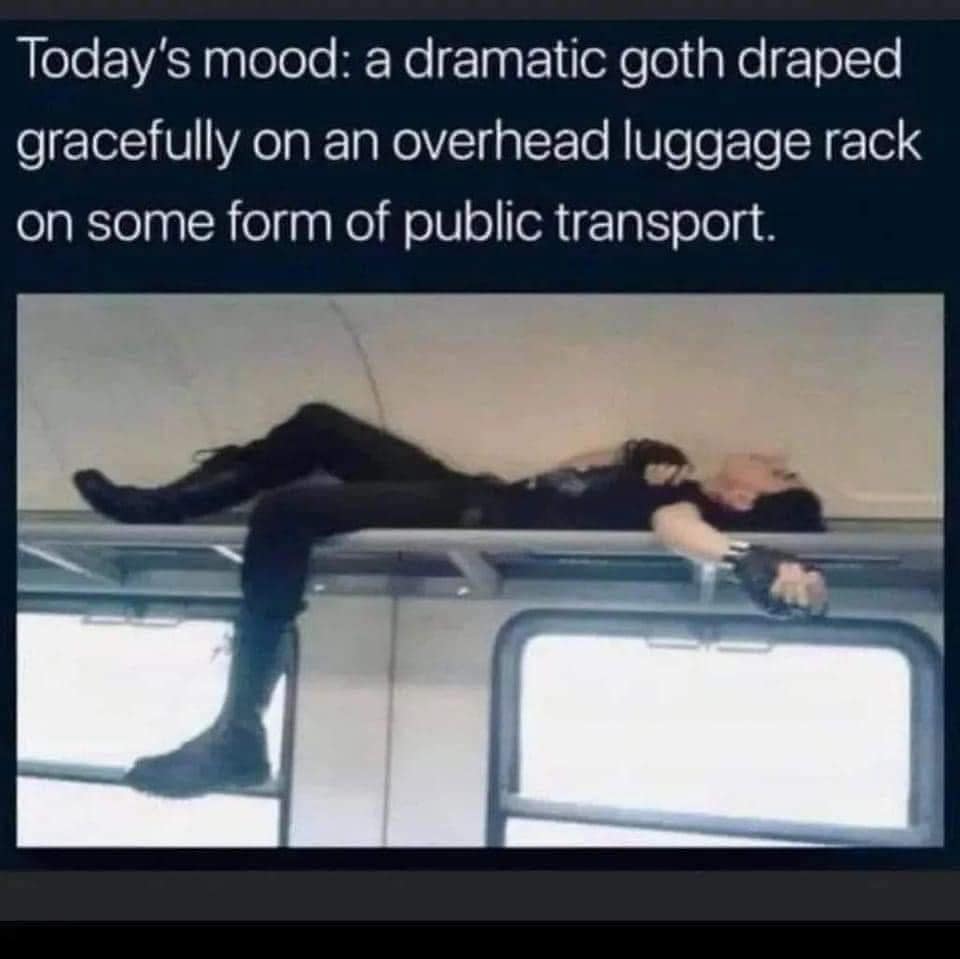 A mood-based classic meme featuring a dramatic goth person lying gracefully inside the overhead luggage rack of a train carriage.